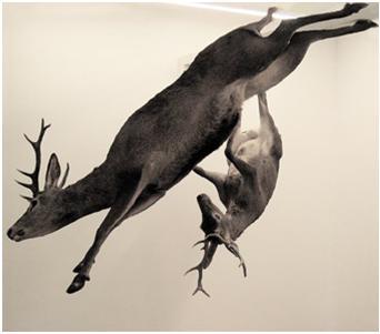 Santiago Ydáñez. " Sin título", 2007. 320 cm de altura. Instalación.